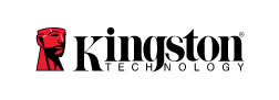 kingston